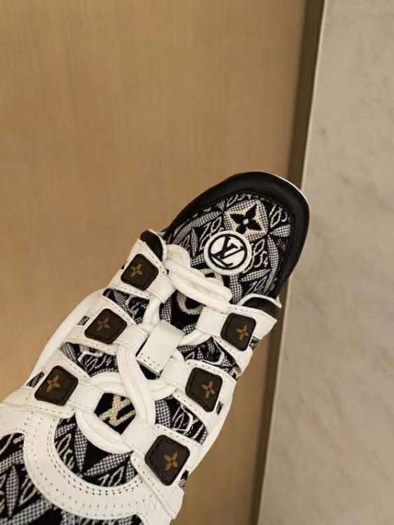 Picture of Louis Vuitton Shoes _SKULVsz35-42mnf012017713